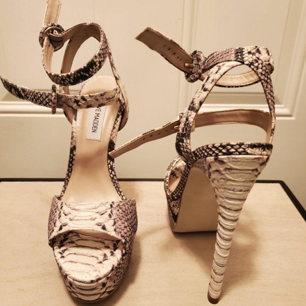Steve Madden size 7 dark brown and cream